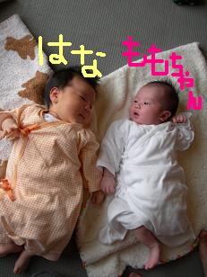 a0055347_035254.jpg