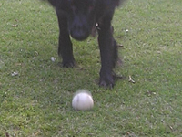 f0095047_18382757.jpg