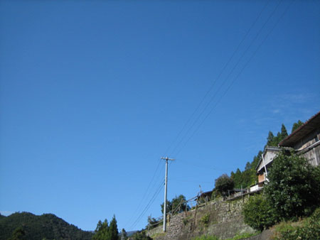 a0054948_16535039.jpg