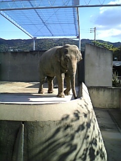 c0070753_2093962.jpg