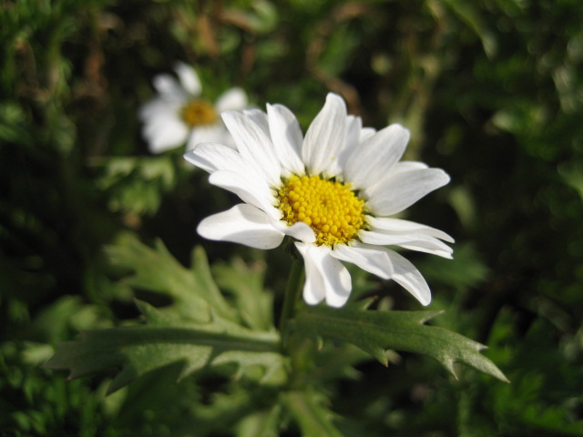 a0075455_1244645.jpg