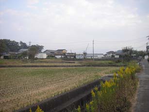f0014356_2259056.jpg