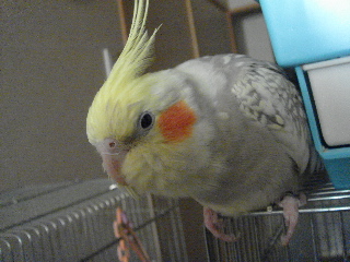 a0087164_2234091.jpg