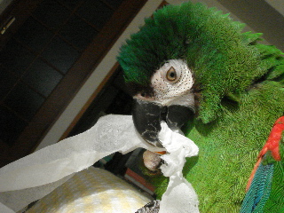 a0087164_22342525.jpg
