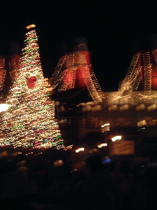 e0016164_1159791.jpg