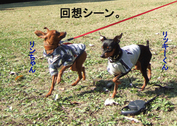c0012571_16365413.gif