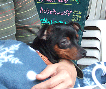 c0012571_16375691.gif
