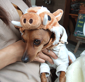 c0012571_1637979.gif