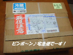 a0049275_14482755.jpg