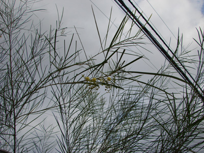 e0008586_23193812.jpg
