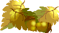 e0026586_10591897.gif