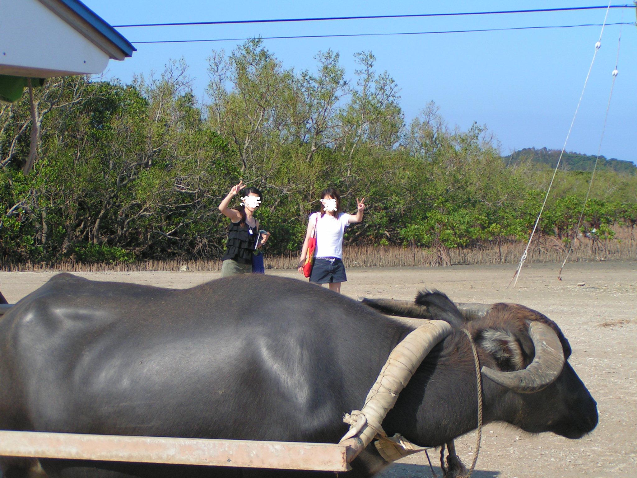 d0006498_222529100.jpg