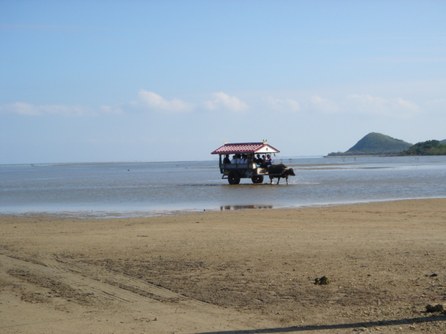 d0006498_2254111.jpg