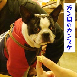 c0094999_8254891.jpg
