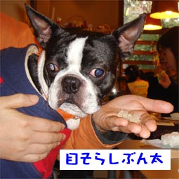 c0094999_8275043.jpg