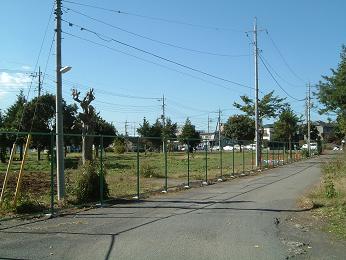 a0065800_13325675.jpg