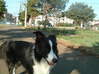 a0065800_13564638.jpg