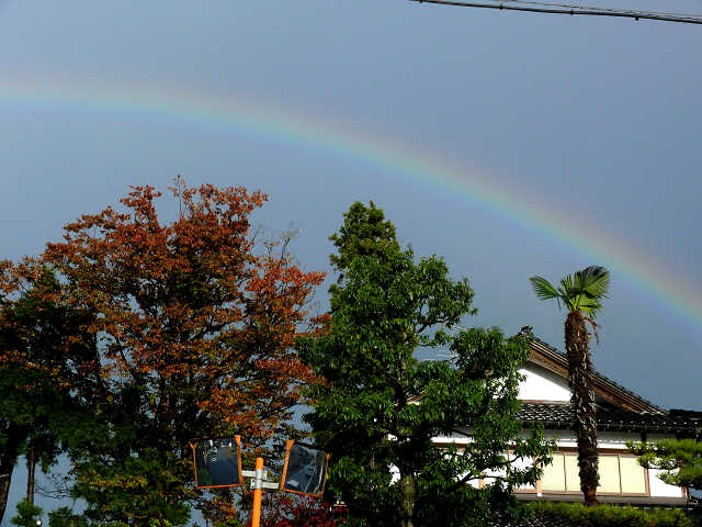 a0067201_21505745.jpg