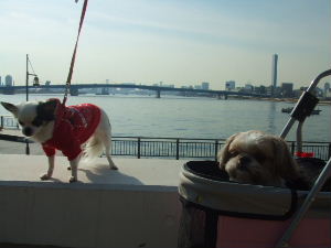 e0040602_22465737.jpg
