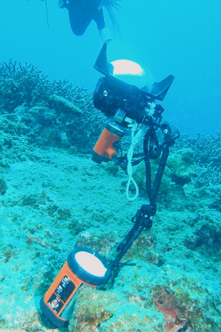 a0082706_22124758.jpg