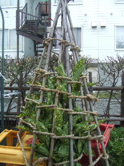 f0041606_19354674.jpg