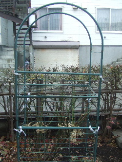 f0041606_1936767.jpg