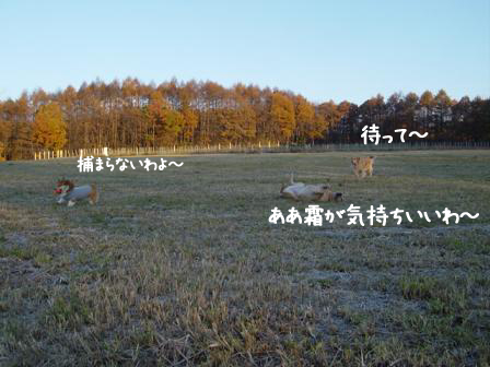 f0064906_17362053.jpg
