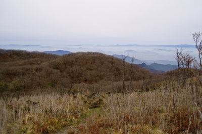 e0091909_192136.jpg