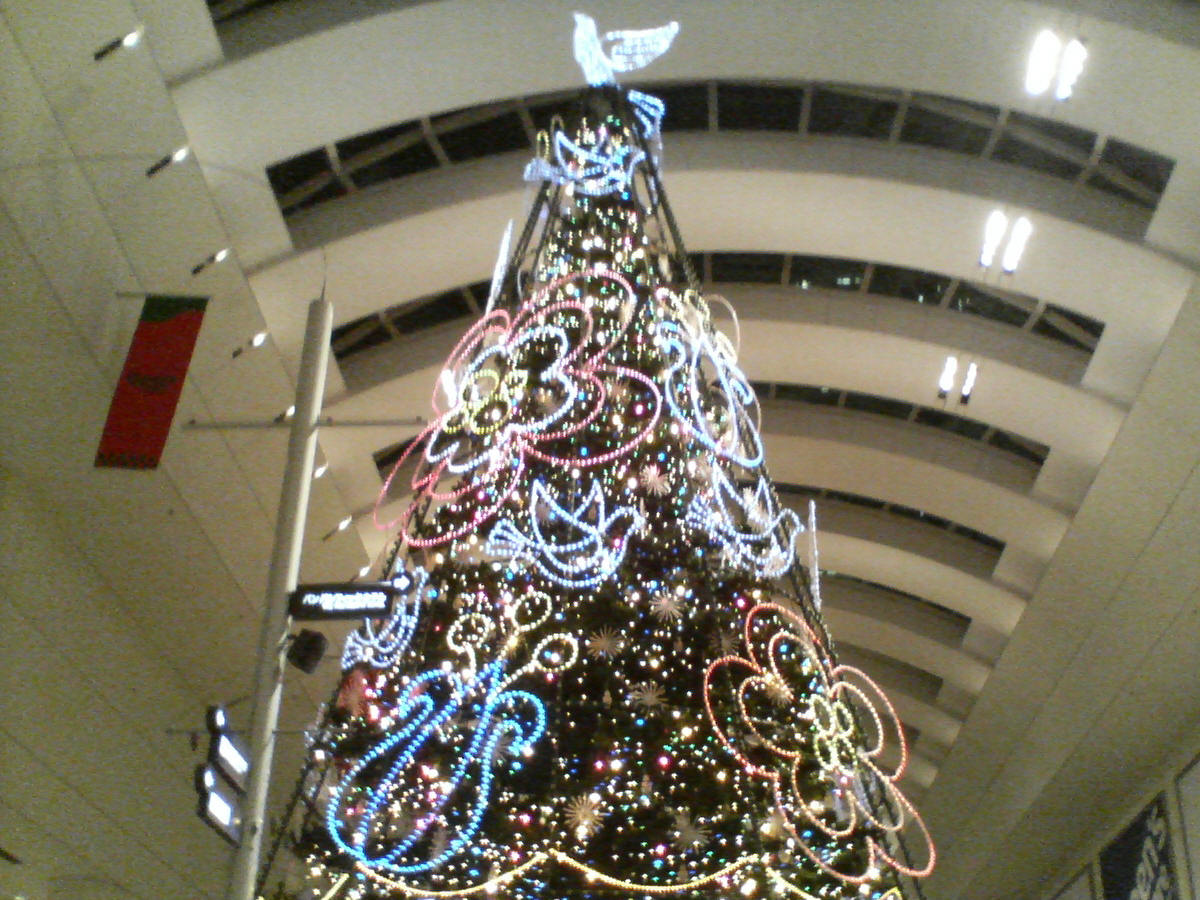 d0077811_12158.jpg