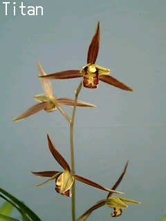 b0099813_11451837.jpg