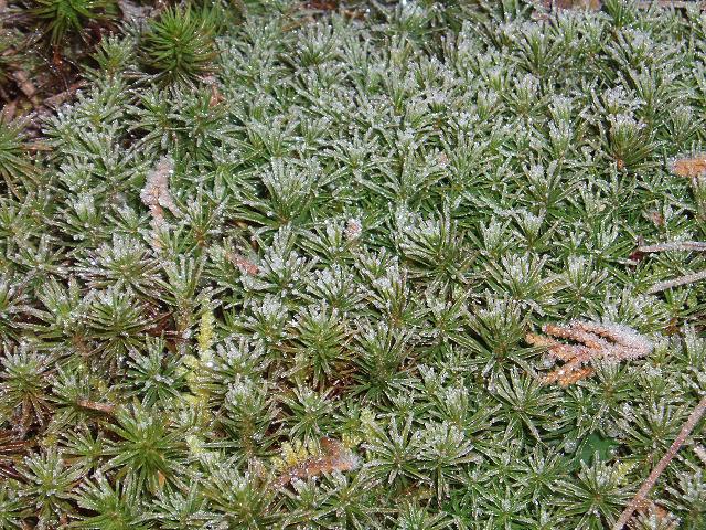 c0086014_23363963.jpg