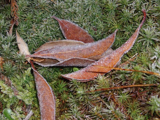 c0086014_2337396.jpg