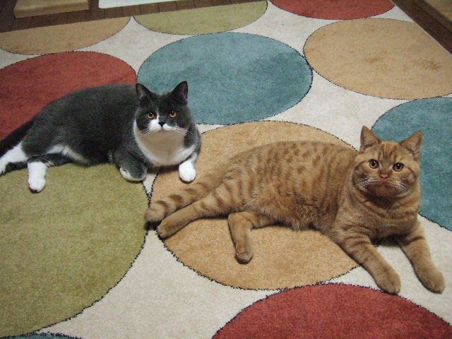 f0032020_1120870.jpg