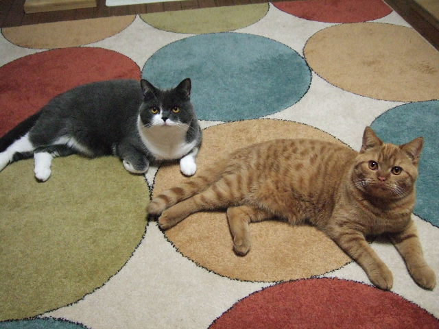 f0032020_11222948.jpg