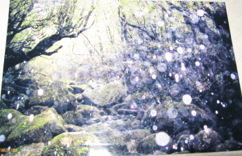 f0028125_0154078.jpg