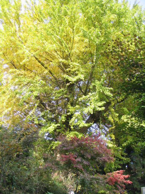 c0086230_23221339.jpg
