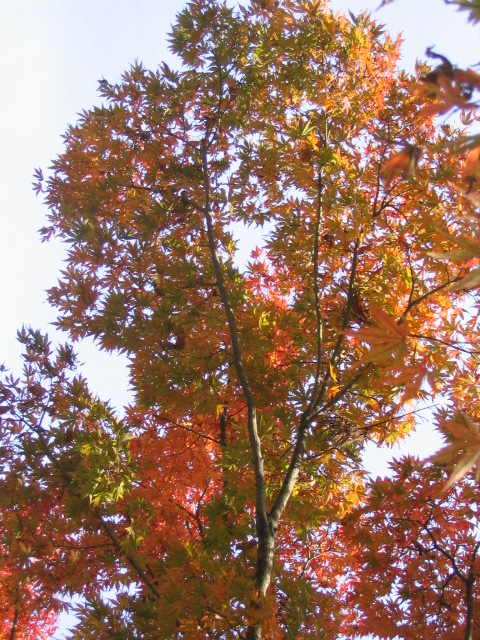 c0086230_23425069.jpg
