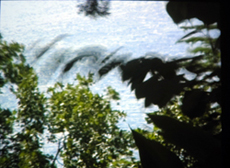 f0105434_602071.jpg