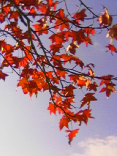 e0067640_14583847.jpg