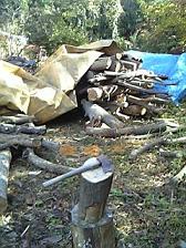e0103740_1710832.jpg