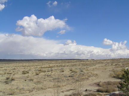 e0104941_5184758.jpg