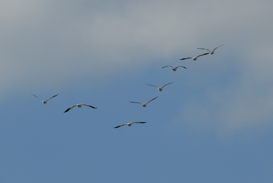 a0039245_23144899.jpg