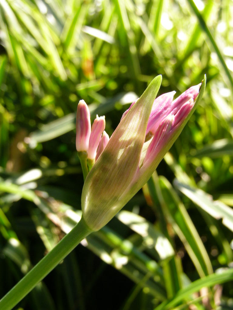 e0064158_1564953.jpg