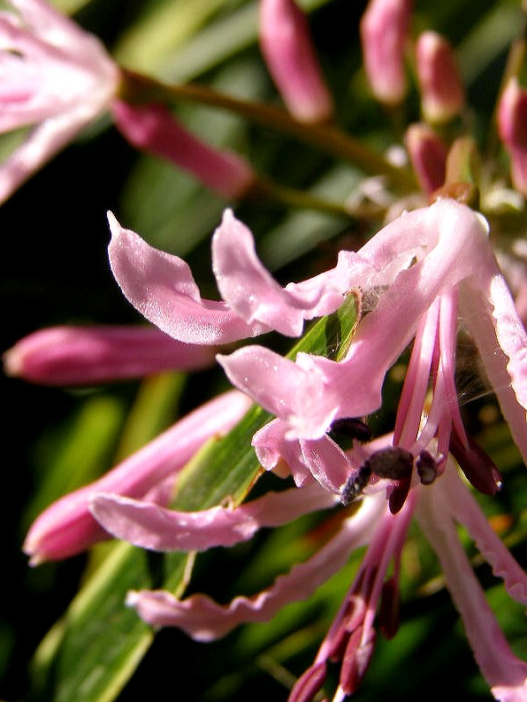 e0064158_1581124.jpg