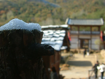 c0050264_193229.jpg