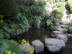 e0034068_22163680.jpg