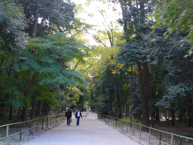f0073974_811484.jpg