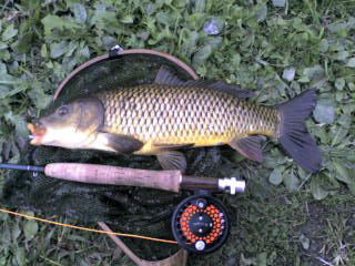 c0080180_21362188.jpg