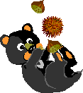e0026586_1502283.gif