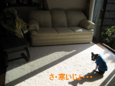 c0092787_12402696.jpg